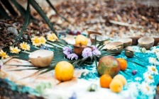 Divine Synchronicity and the Feminine Life Force
