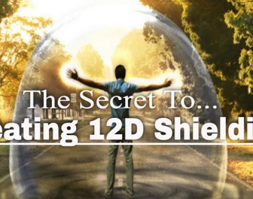 12D Shielding Technique (How to Build)