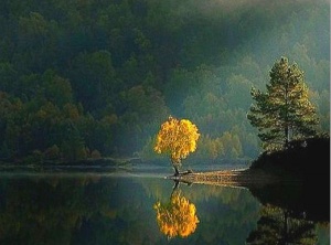 Inner Peace: Cultivating Stillness in the Storm