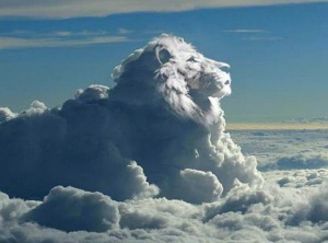 Harmonizing with the Heavens