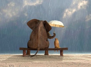 Generosity of Spirit