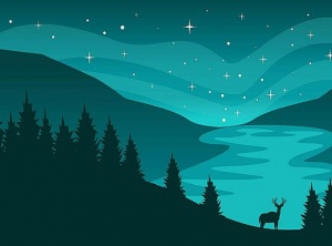 Wonder & Peace To You