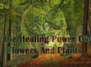 The Healing Power Of Flowers And Plants