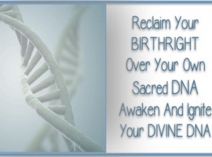 Activating The 14th Strand Of DNA & The Golden Phoenix