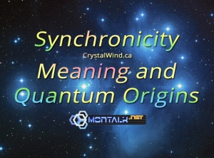 Synchronicity: Meaning and Quantum Origins