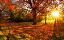 Channeled Message: Ascension Symptom Relief