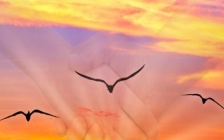 Channeled Message: Working Together Through Transition