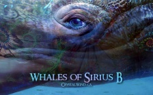 There Is Always Hope - The Whales of Sirius B
