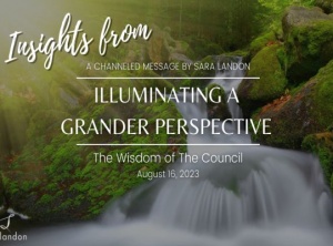 Insights from Illuminating a Grander Perspective - Wisdom of the Council