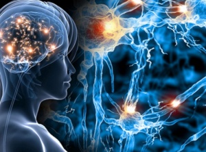 Holographic Mind