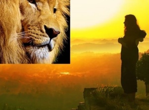 Arcturian Collective: The 8-8 Lion’s Gate