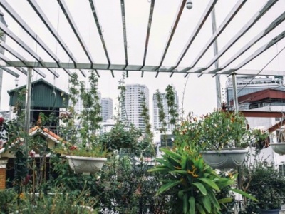 Great Tips To Turn Your Balcony Into A Lush Garden