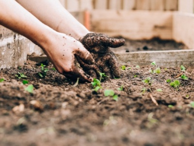 Connecting to Mother Earth Through Gardening