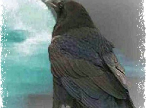 Spirit of Crow