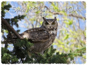 Spirit of Great Horned Owl