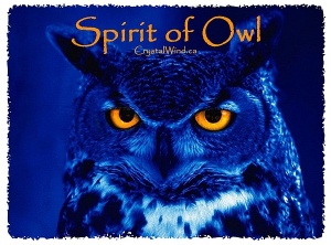 Spirit of Owl