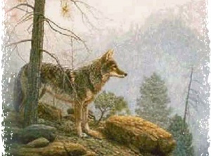 Spirit of Gray Wolf