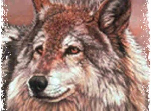 Spirit of Red Wolf