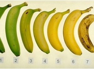 Which Of These Bananas Is Better For You – Ripe Or Unripe?
