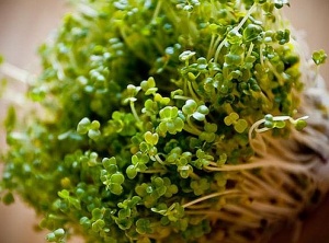 Broccoli Sprouts Can Flush Environmental Toxins from Your Body, Fast