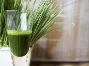 Wheatgrass: This Most Alkalizing Food Should Be Eaten Every Day