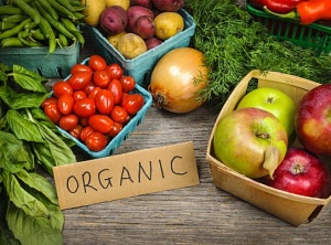 What Happens When a Family Eats Only Organic Food for 2 Weeks