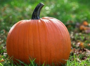 Pumpkin : A Superfood That Stops Kidney Stones