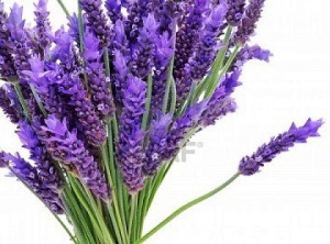Six Powerful Ways To Use Lavender During The Cold And Flu Season