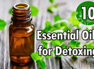 10 Essential Oils for Detoxing and Boosting Overall Immunity
