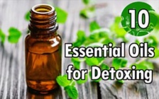 10 Essential Oils for Detoxing and Boosting Overall Immunity