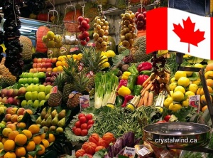 Canada’s Surprising New Proposed Health Guide Favors Plant-Based Foods and Ignores Industry Input