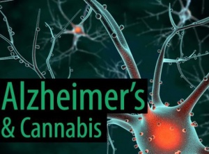 New Study Reveals Cannabis Can Be Used to Prevent and Treat Alzheimer’s