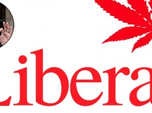 Canada to introduce legislation to decriminalize recreational cannabis