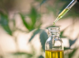 10 Facts You Should Know About CBD Oil