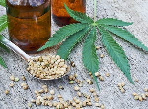 CBD Oil: A Potential Compound for Cancer Treatment