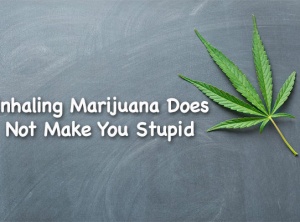 Scientists Find: Inhaling Cannabis Does Not Make You Stupid