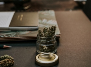 6 Things to Keep In Mind Before Setting Foot in a Marijuana Dispensary 
