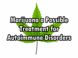 Marijuana a Possible Treatment for AutoImmune Disorders like MS, Arthritis, and Type 1 Diabetes