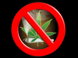 3 Marijuana Myths Debunked