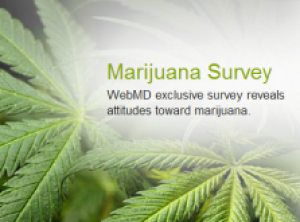 New Poll: 56% of Doctors Approve of Medical Marijuana