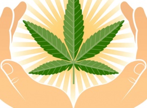 Marijuana a Possible Treatment for AutoImmune Disorders