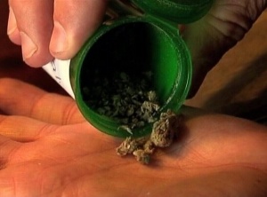 Legalized Marijuana Will Reduce Prescription Drug Use By Billions