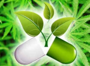 New Cannabis Capsule Is So Effective That It’s Replacing Big Pharma Painkillers