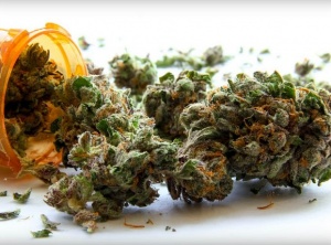 New highs: Marijuana now legal in Alaska, Oregon, and Washington, DC