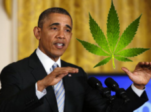 Members of Congress Ask President to Reschedule Marijuana