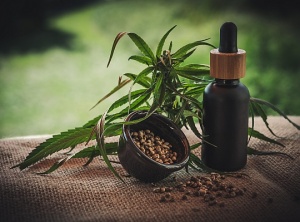 Most THC and CBD Oil Goes to Waste in Your Body