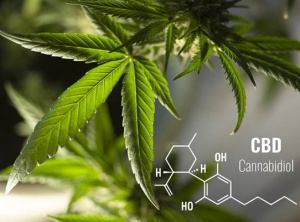 How To Use CBD For Inflammation And Recovery