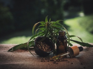 How Technology Has Changed The CBD Industry