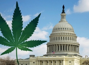 What Your Government Knows About Cannabis And Cancer — And Isn’t Telling You