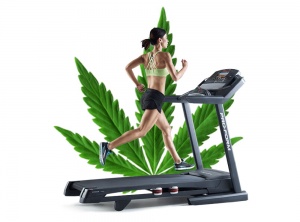 The World's First Marijuana Gym Is Opening in San Francisco